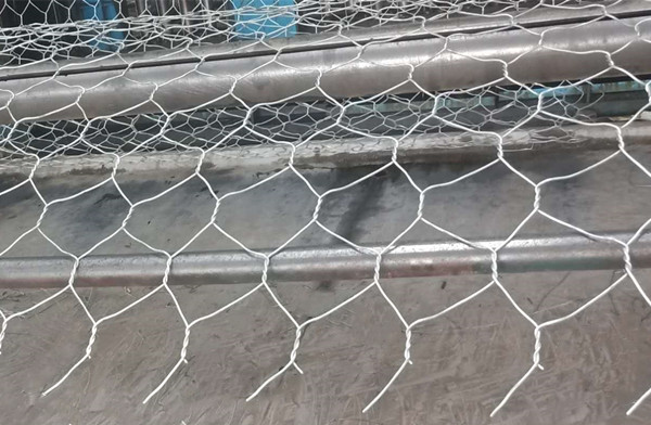 ʯ\Wνz߅D